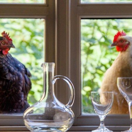 فندق Lindenhof Chezartistes Loose المظهر الخارجي الصورة